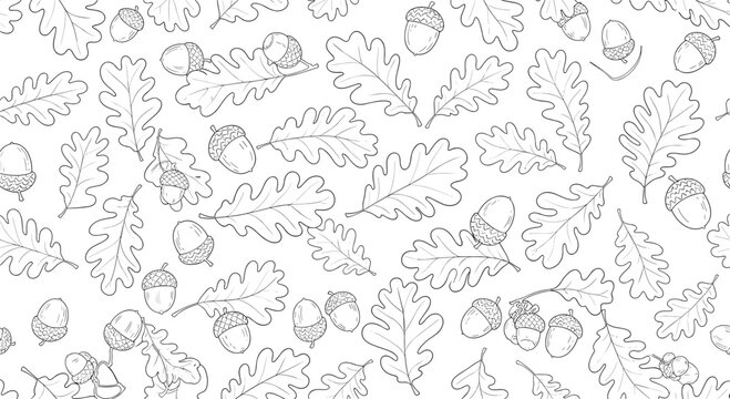 Seamless background pattern featuring black and white line art sketches of oak leaves and acorns scattered on a white surface.