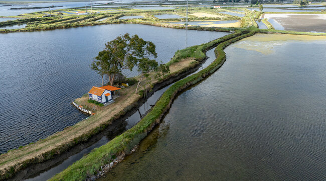 Aerial view of Salinas de Aveiro salt pans with a small traditional hut and water channels surrounded by green embankments in Aveiro, Portugal.