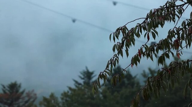 Cable car at Seoraksan National Park in South Korea on rainy autumn day