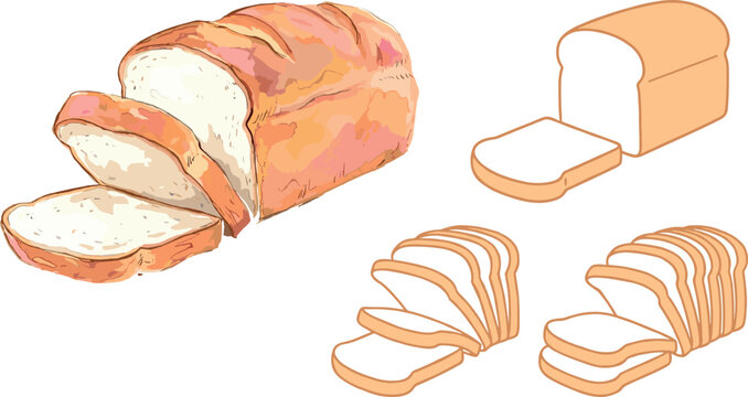 Vector illustration collection of white sliced bread loaves and fresh toast pieces in both watercolor sketch and flat icon styles isolated on white background