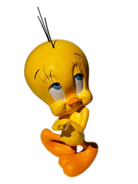 Tweety being shy on a white isolated background