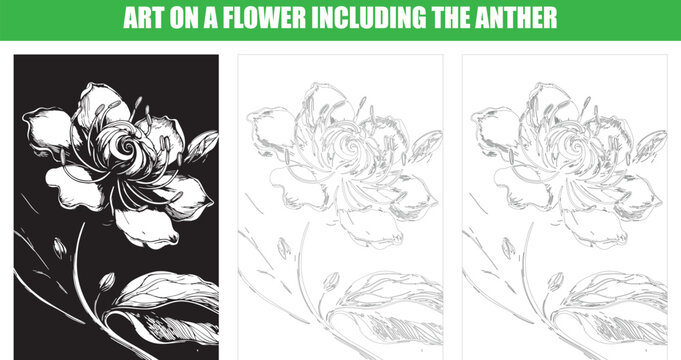 Floral illustration set with detailed anther and stylized petals for creative design.