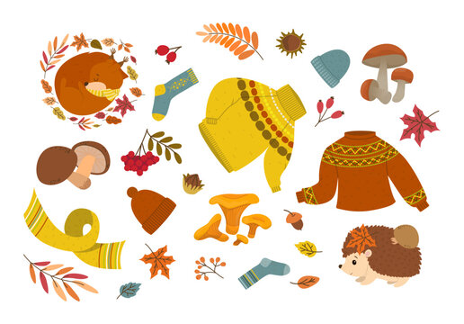 Warm lifestyle graphic collection celebrating the comfortable fall season atmosphere ideal for creating themed scrapbooking projects commercial packaging and creative website banners.