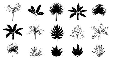 Tropical leaf and exotic palm tree foliage icon set for botanical and nature branding featuring detailed silhouettes of fern and monstera leaves for garden and design projects © Neoviz Studio
