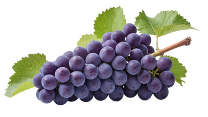 Cluster of ripe purple grapes with green leaves, isolated on transparent background © Claudia