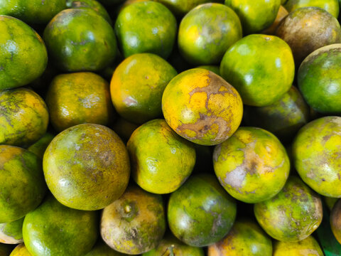 Green oranges at a traditional market. The photo shows the orange-green, round oranges, showing off their smooth, shiny skin and unique color.