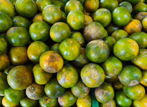 Green oranges at a traditional market. The photo shows the orange-green, round oranges, showing off their smooth, shiny skin and unique color.