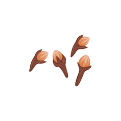Obraz premium Clove Herb Spice Illustration 