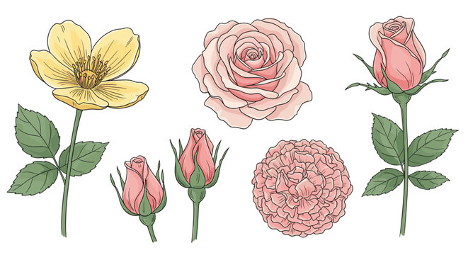 Elegant collection of hand drawn roses in pink and yellow hues featuring full blooms, buds, and green leaves.