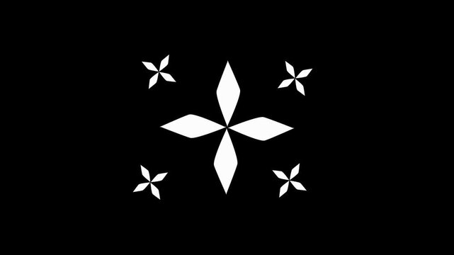 Spark elements with flower bursts in a fireworks animation, elegant cinematic motion background, cartoon animated explosion, shiny effects on black screen background in 4K