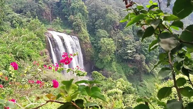 Scenic Curug Sewu Waterfall Surrounded by Lush Tropical Plants in Kendal Central Java