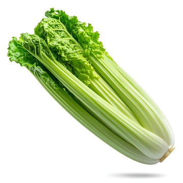 Fresh bunch of crisp celery stalks with vibrant green leafy tops on a clean white background, healthy food ingredient