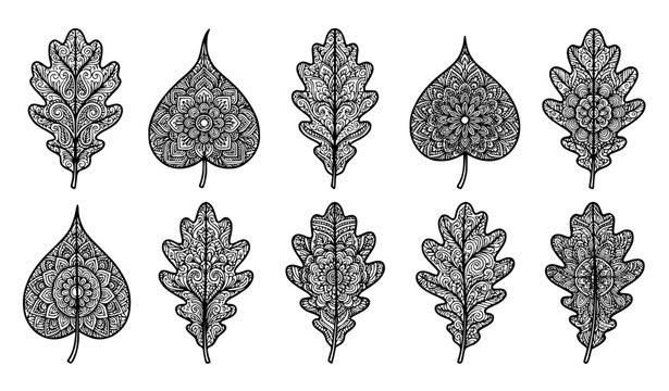 Intricate mandala leaf pattern vector collection with detailed hand drawn bohemian paisley and foliage sketches