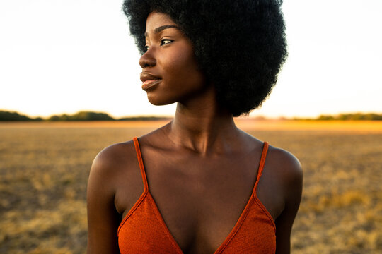Beautiful african american woman in a sunflowers field - Black adult female portrait in a blooming floral field, concepts about nature, beauty, sustainaible lifestyle, green energy
