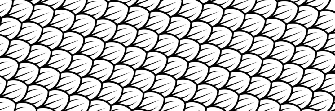 Dragon snake reptile fish mermiad scale seamless pattern tile. Dinosaur skin seamless pattern. Vector black line background.
