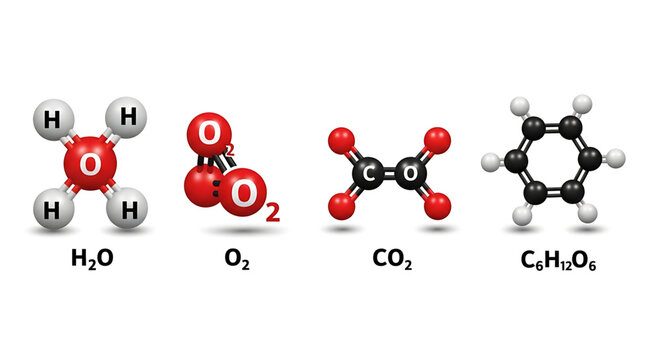 3d molecular models of water, oxygen, carbon dioxide, and glucose
