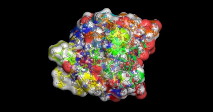 Lixisenatide, drug/GLP-1 receptor agonist for type 2 diabetes and obesity, 3D molecule spinning, 4K