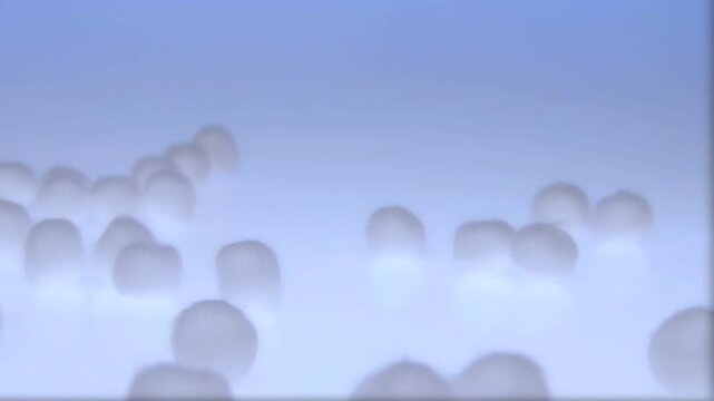 転がるコットンボール