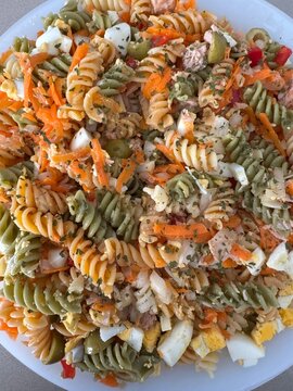 italian pasta shells