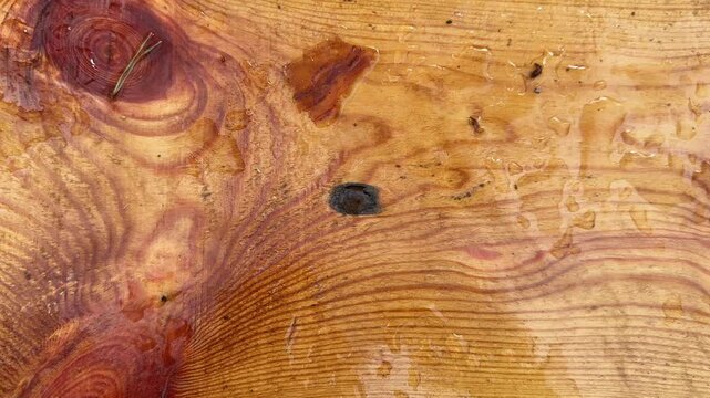 Wet wooden plank of garden bench, top view close-up