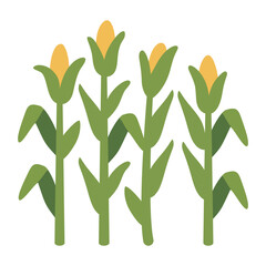 Corn field patch with ripe yellow sweetcorn plants agriculture harvest flat vector illustration © ImamSetia