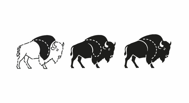 Illustrated bison progression in three distinct graphic styles.