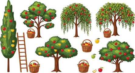 Apple tree harvest set with green orchard plants growing red and yellow fruits wooden ladder and wicker baskets full of organic crop vector illustration © MdMahfizur