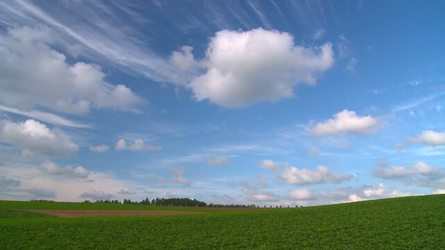 豆ニオ立つ丘と湧き立つ雲