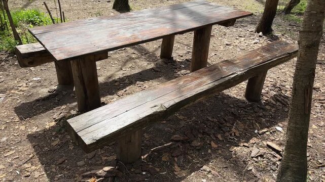 Rough-hewn massive wooden table with benches in a forest