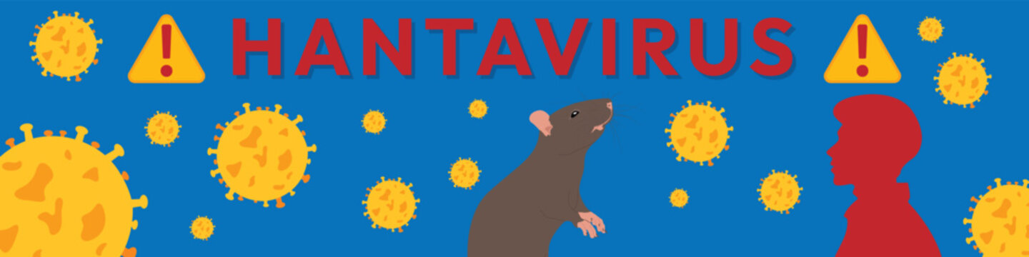 Background of the Hantavirus outbreak. Hantavirus alert. Disease caused by rats