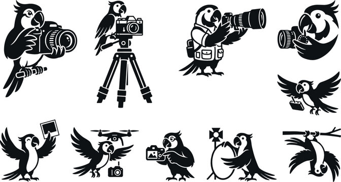 Parrot Photographer Cartoon Mascot Silhouette Set Featuring Camera Tripod Drone and Studio Lighting Equipment Designs