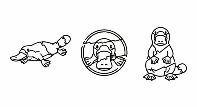 Illustrated Platypus Beavers and Otter in Three Unique Styles.