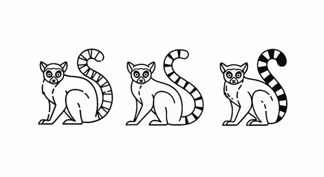 Illustration of Three Ring Tailed Lemurs Sitting Calmly.