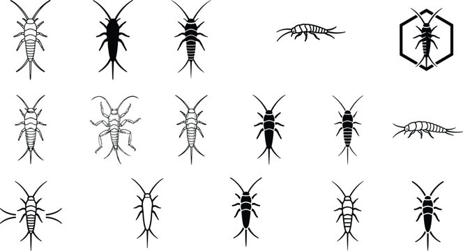 Silverfish Insect Silhouette Icon Set for Pest Control Services Household Bug Identification Graphic Design Warning Labels and Educational Biology Illustration Vectors