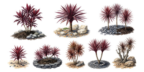 Fototapeta premium Watercolor set of red Cordyline australis cabbage tree garden landscaping elements with rocks stones and pebbles isolated on transparent background