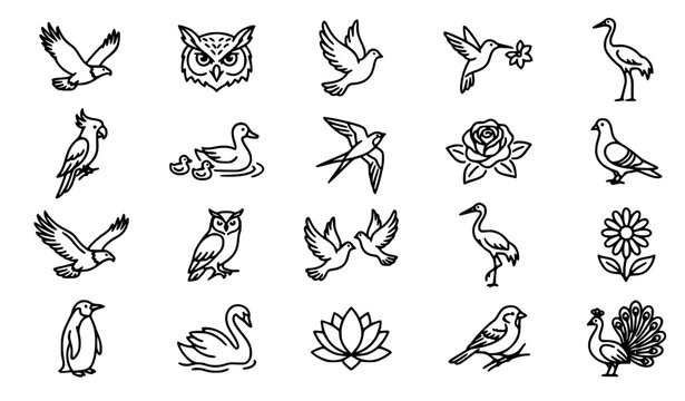 bird logo set, tropical birds, zoo icons, garden birds, tattoo design elements, educational icons, spring nature, floral bird set, outline illustration, vector bundle