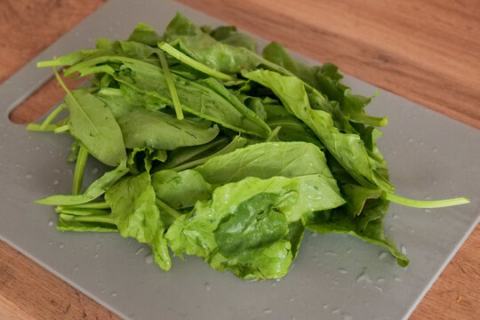 Fresh washed sorrel leaves prepared on wooden cutting board for cooking