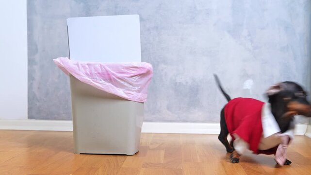 A black dachshund dog dressed in a red business suit and pink tie sits beside a trash bin  a discarded game console creating a humorous office concept scene