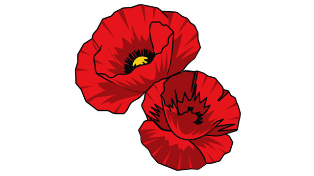 Bright red poppy flowers vector illustration with editable stroke, adjustable stroke weight, and customizable line weight. Elegant botanical floral icon for nature design, thin line stroke art.