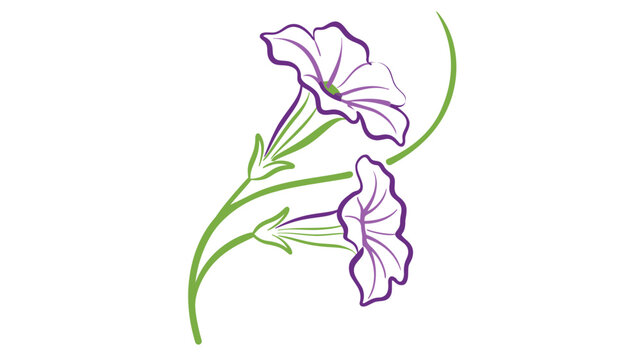 Beautiful trailing purple petunia vector illustration with creative colorful line art, featuring blooming flowers and green vines on a white background for botanical and garden-themed designs.