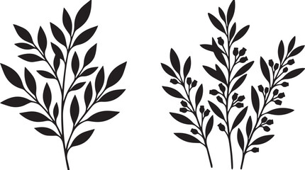 Botanical leaf branches and seeded eucalyptus sprigs silhouette vector elements © Mokbul