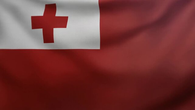 Waving flag, red cross