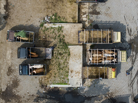 Aerial view of trucks loaded with livestock at the Animal Market Prambanan on a paved lot in Kecamatan Prambanan, Jawa Tengah, Indonesia.