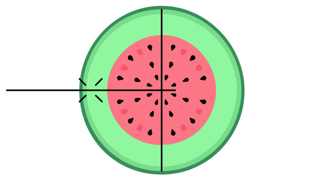Green guava slice vector icon illustration. This tropical fruit graphic features an editable stroke, thin line, adjustable stroke, line weight, customizable, and stroke weight for design.