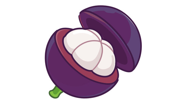 Mangosteen line art featuring a violet exterior and creamy segments. Dynamic stroke weight graphic for superfood visualization and tropical health food packaging.