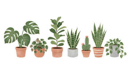 Obraz premium Variety of potted houseplants illustration monstera fiddle leaf fig and succulents