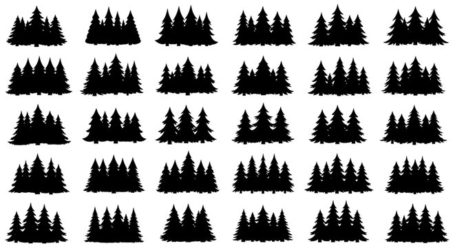 Collection of various black pine tree silhouettes on white background for design and decoration