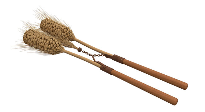 Traditional agricultural threshing flail