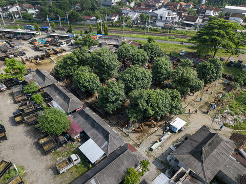 Aerial view of Animal Market Prambanan with cattle under trees, parked trucks, and residential buildings near a railway line in Kecamatan Prambanan, Jawa Tengah, Indonesia.
