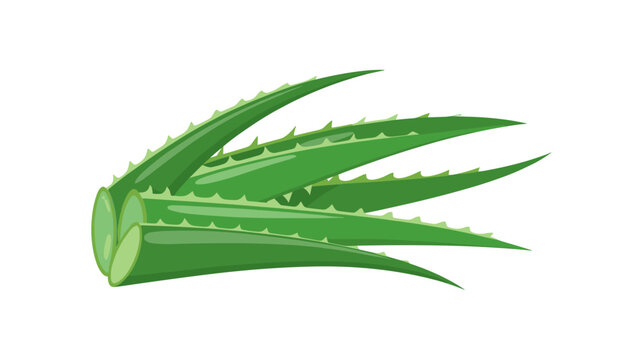 Sleek emerald green aloe leaves with sharp geometric reflections